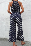 Polka Dot Grecian Wide Leg Jumpsuit